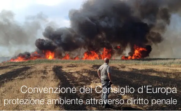 Convenzione del Consiglio d’Europa sulla protezione dell’ambiente attraverso il diritto penale